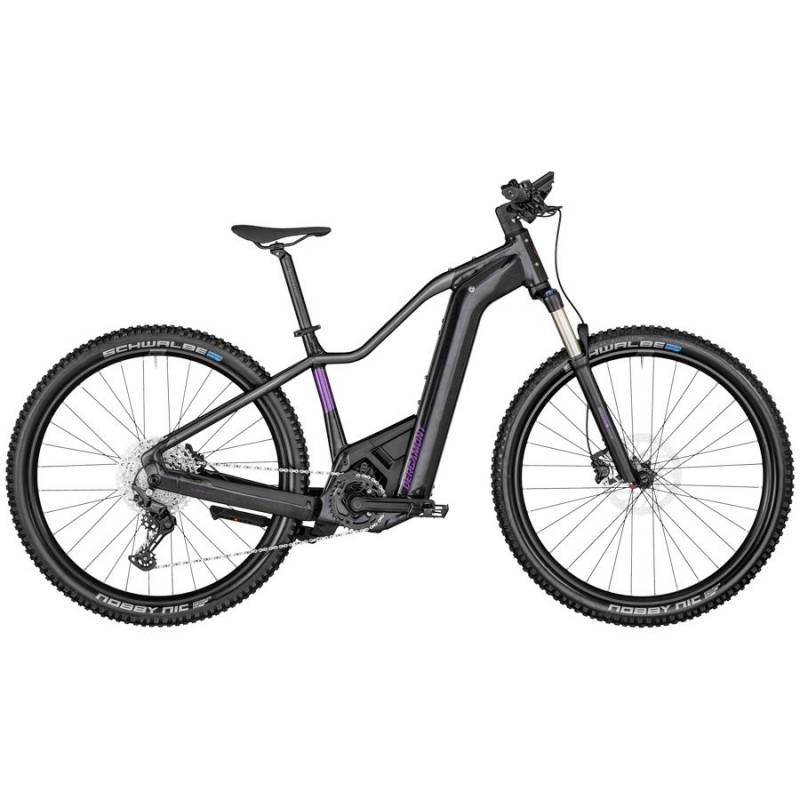Električno Gorsko Kolo BERGAMONT E-REVOX PREMIUM EXPERT 750 FMN